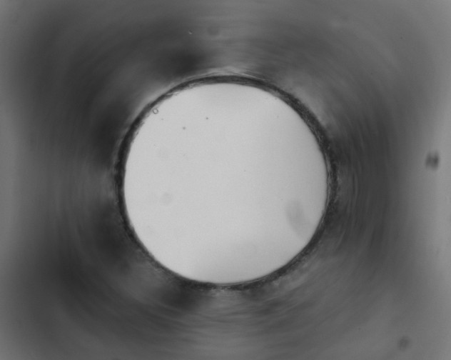 X0000103951308200809261739