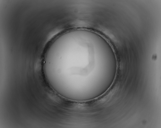 X0000103951309200809261739