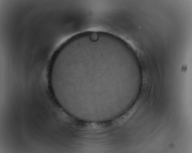 X0000103951311200809261739