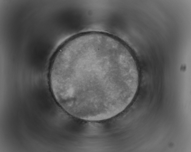 X0000103951312200809261739