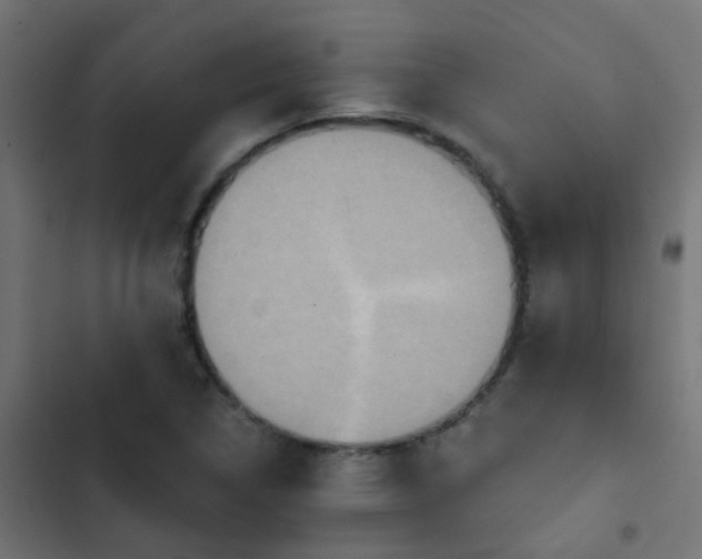 X0000103951314200809261739