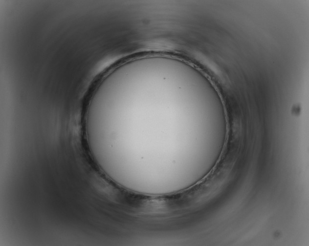 X0000103951315200809261739