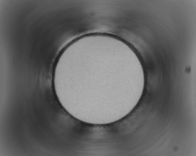 X0000103951316200809261739
