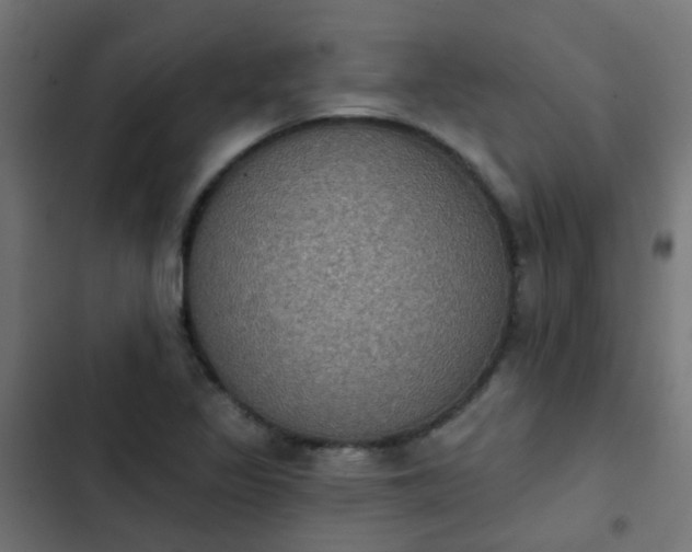 X0000103951317200809261739