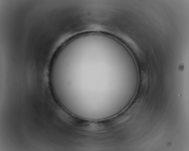 X0000103951318200809261739