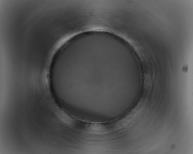 X0000103951319200809261739