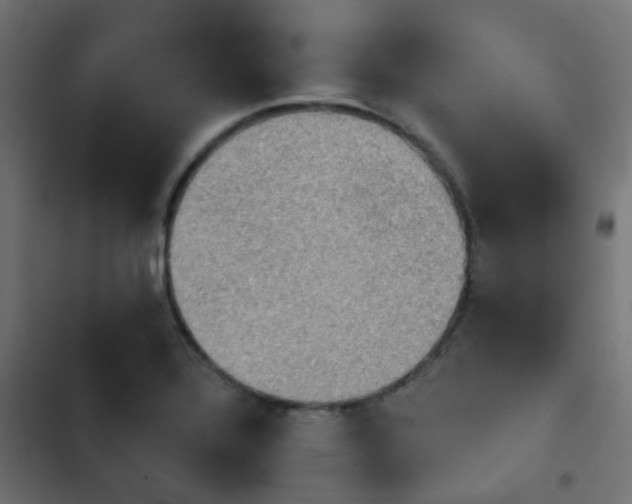 X0000103951320200809261739