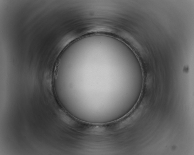 X0000103951321200809261739