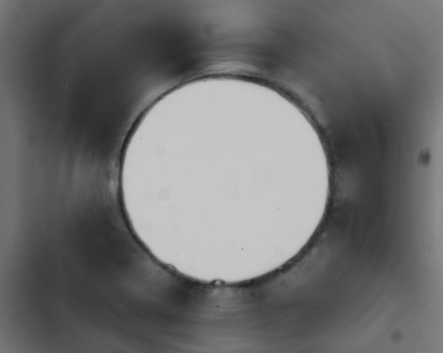 X0000103951322200809261739
