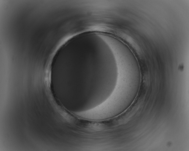 X0000103951323200809261739