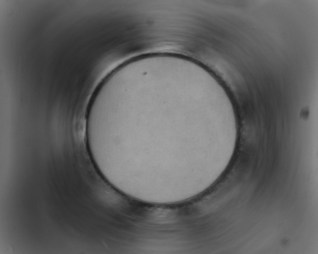 X0000103951324200809261739