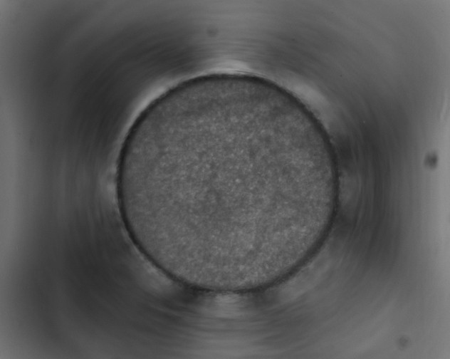 X0000103951326200809261739