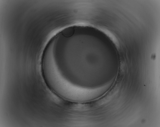 X0000103951327200809261739