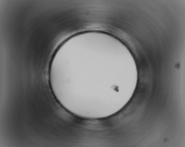X0000103951328200809261739