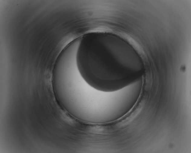 X0000103951329200809261739