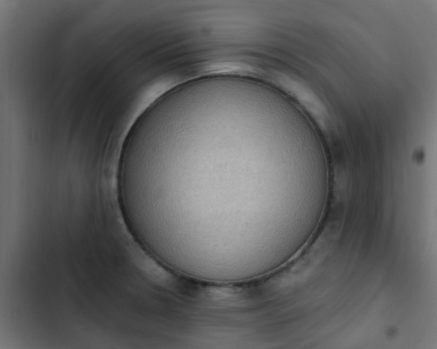 X0000103951330200809261739