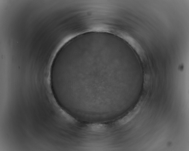 X0000103951331200809261739