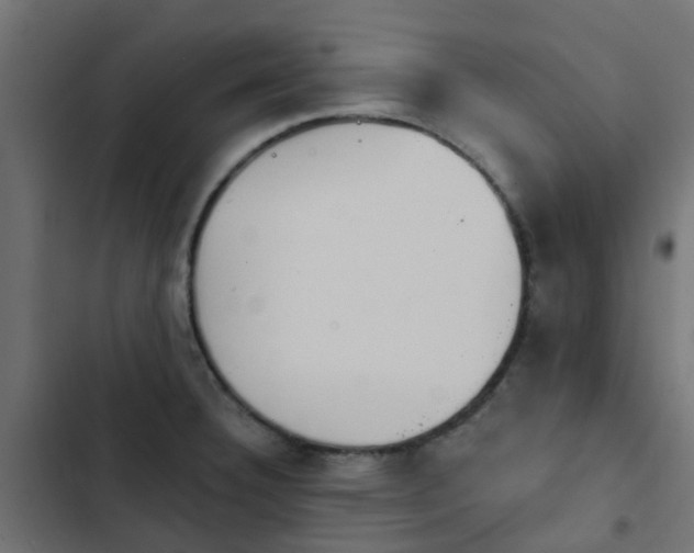 X0000103951332200809261739