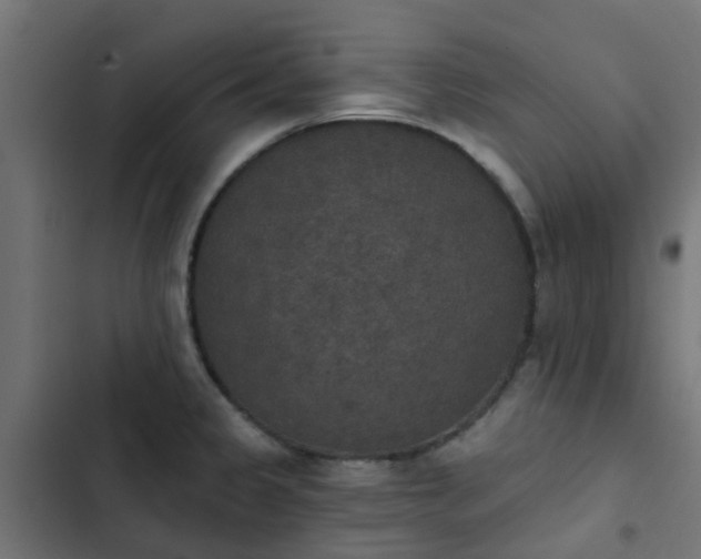 X0000103951333200809261739