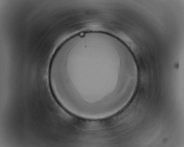 X0000103951334200809261739