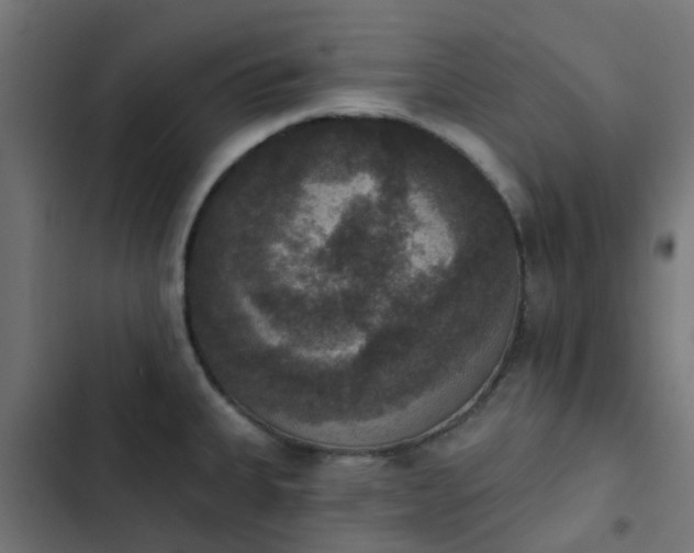 X0000103951335200809261739