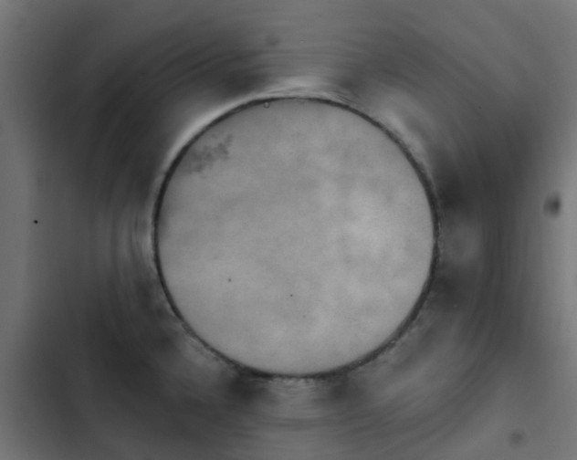X0000103951336200809261739