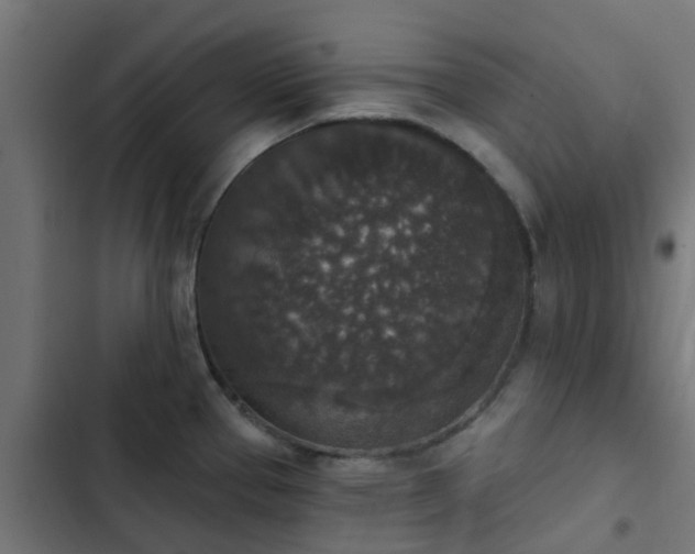 X0000103951337200809261739