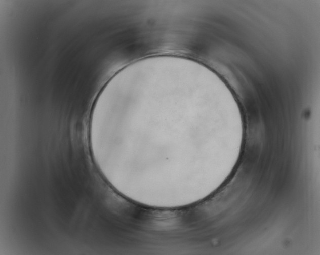 X0000103951338200809261739