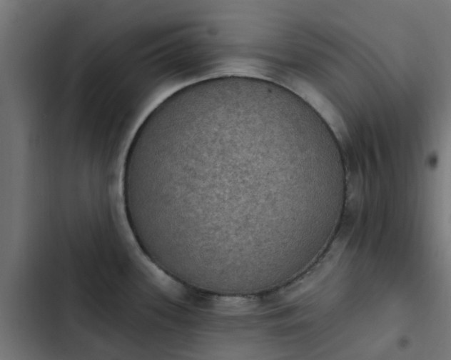 X0000103951339200809261739
