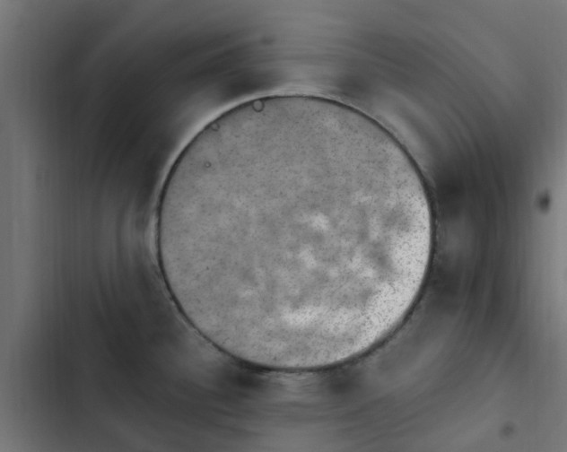 X0000103951340200809261739