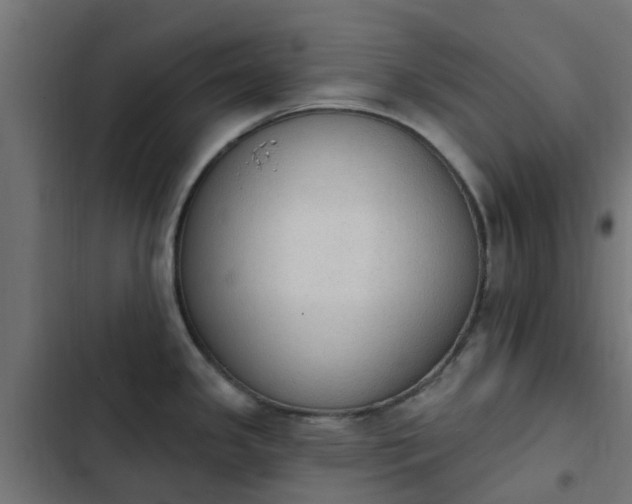 X0000103951341200809261739