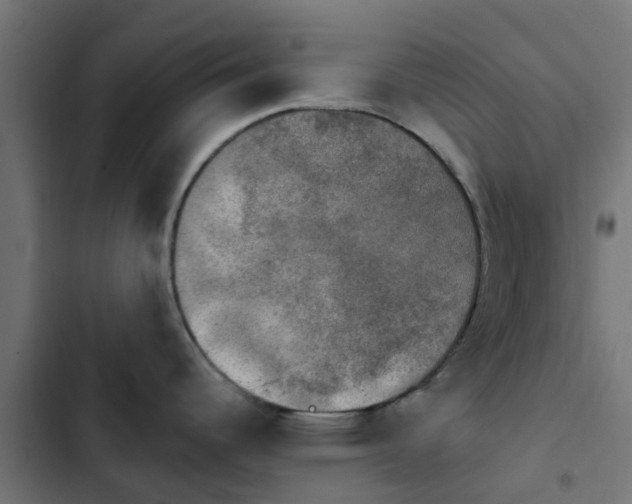 X0000103951344200809261739