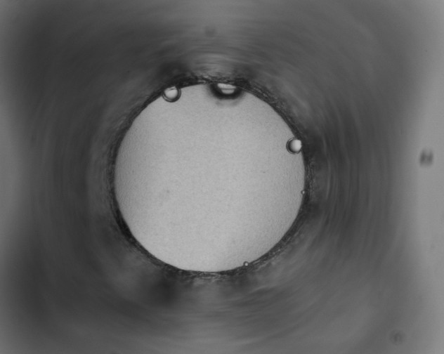 X0000103951345200809261739