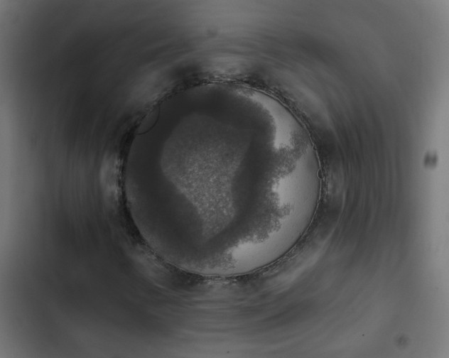 X0000103951346200809261739