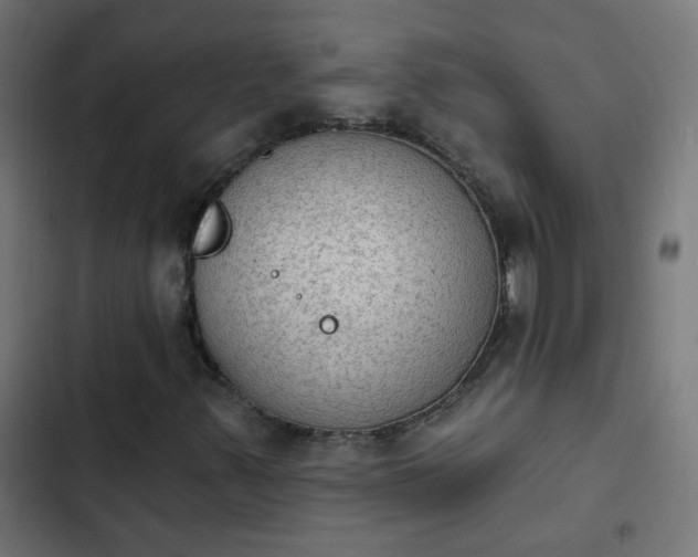 X0000103951347200809261739