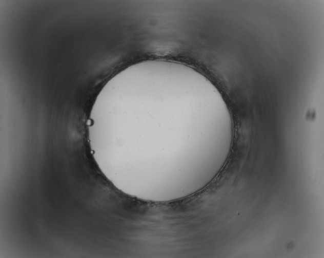 X0000103951349200809261739