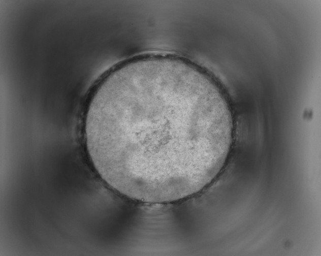 X0000103951352200809261739