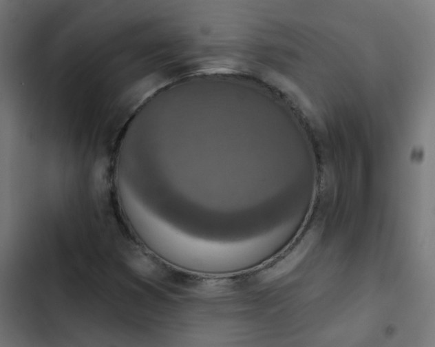 X0000103951353200809261739