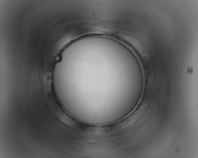 X0000103951355200809261738