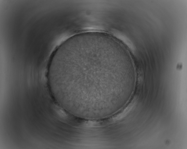 X0000103951357200809261738