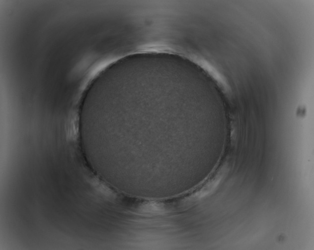 X0000103951358200809261738