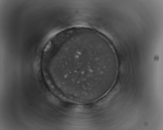 X0000103951359200809261738