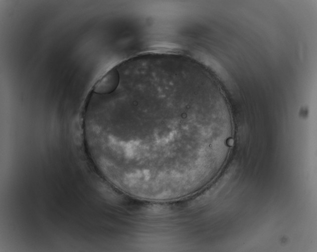 X0000103951362200809261738