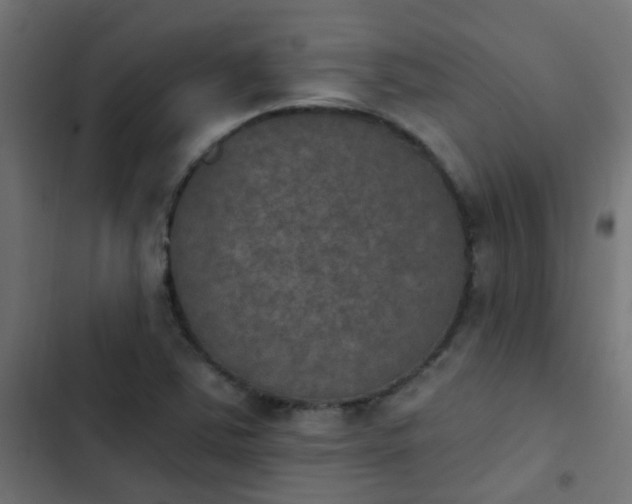 X0000103951363200809261738
