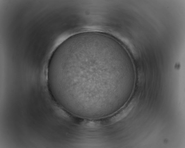 X0000103951365200809261738