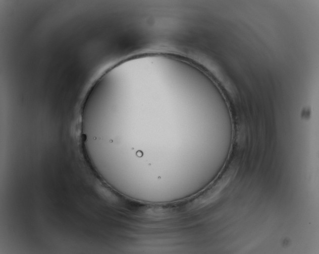 X0000103951366200809261738