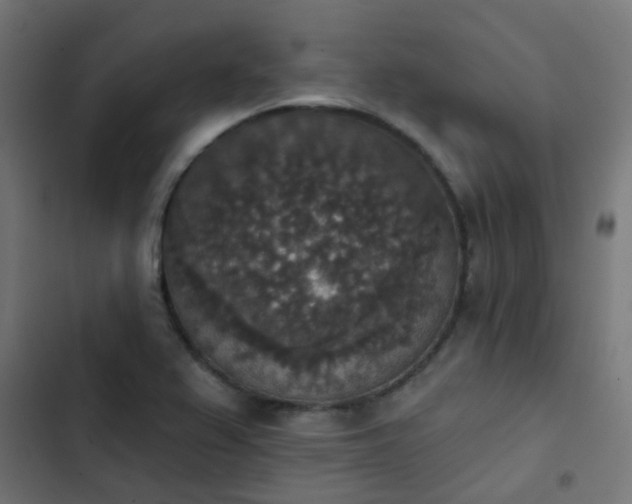 X0000103951367200809261738