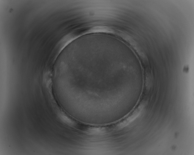 X0000103951369200809261738