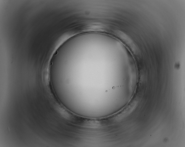 X0000103951370200809261738