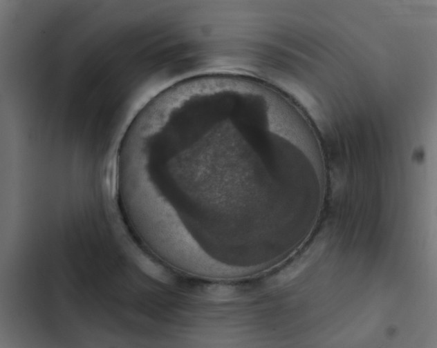 X0000103951371200809261738